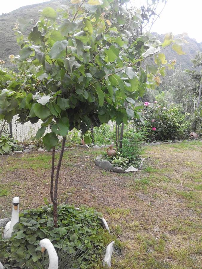 Villa Piano Mtsʼkhetʼa Eksteriør billede